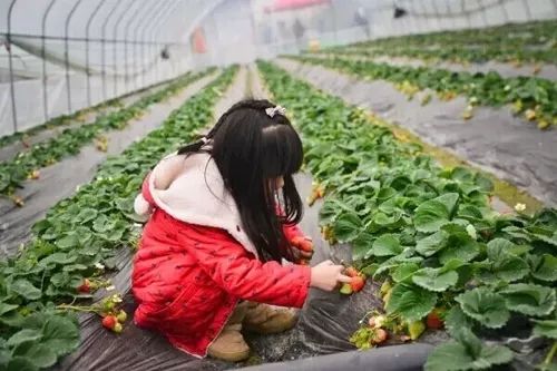 草榴2018最新地址，深度探索与发现之旅